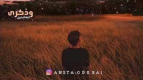 تلاواة نديه للقارئ/طارق محمد