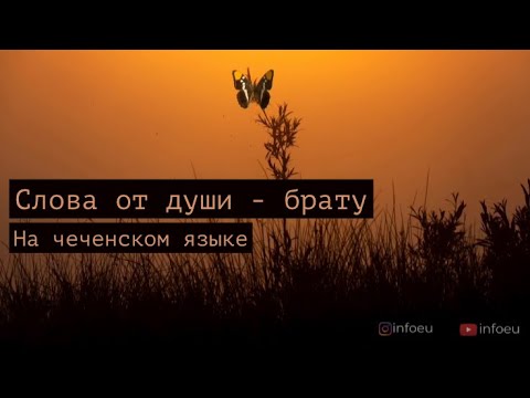Достойный брат къонах - слова на чеченском