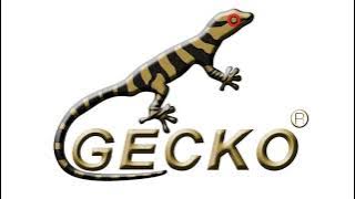 Gecko Kalimba Music - See You Again #gecko #kalimba #music #2024 #2024music #seeyouagain