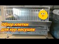 Обзор клетки для кур несушек