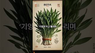 기력을 북돋우는 초록 채소, 부추의 힘