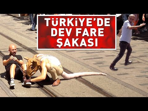 TÜRKİYE'DE DEV FARE ŞAKASI ! w/ JONOTHON LYONS