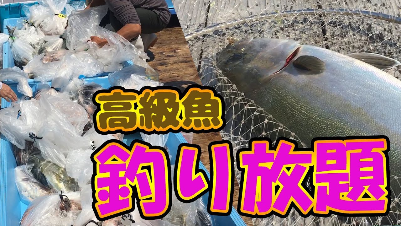 動画 アジ メバル カサゴ 家族で楽しく五目釣り 臼杵 大泊港 おおとまりこう 釣り禁止エリアあり 大分の釣り場 釣りガールも安心の堤 釣り場 Com 動画 アジ メバル カサゴ 家族で楽しく五目釣り 臼杵 大泊港 おおとまりこう 釣り禁止エリアあり 大分の釣り場 釣りガールも安心の堤 釣り場 Com