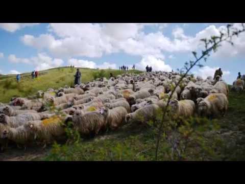 Videó: 15 Ezer Tudós Tett Még Egy 