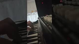 I play Cotton Eye Joe on piano (Gedagedigedagedo) #piano #gedagedigedagedo