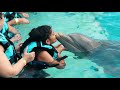 Swim with Dolphins in Punta Cana!