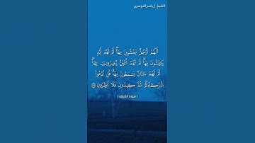 سورة الأعراف ( ١٩٤ - ١٩٦) / ياسر الدوسري