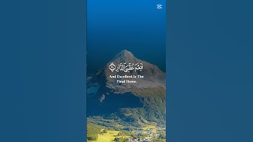 أحترم القران الكريم دقيقه فقط و أكتب #يارب ❤❤❤❤❤❤❤❤❤