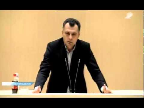 ტარიელ ლონდარიძის გამოსვლა პარლამენტის პლენარულ სხდომაზე 23/07/2014