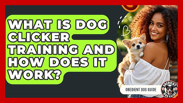 What Is Dog Clicker Training And How Does It Work? - Obedient Dog Guide