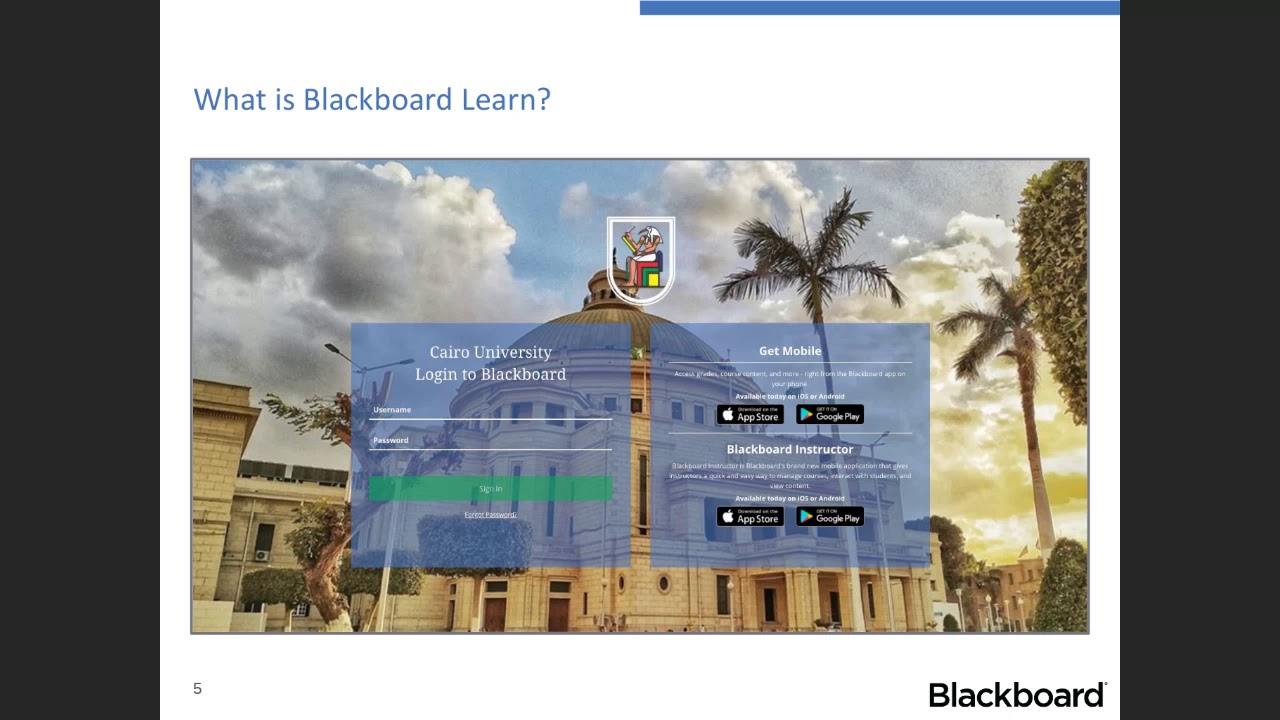 Bb Collaborate Cairo Blackboard faculty training Morning Session Sunday