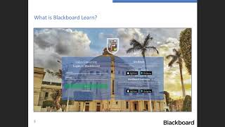 Bb Collaborate   Cairo   Blackboard faculty training Morning Session  Sunday   recording 1 2