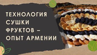 3. Технология сушки фруктов - опыт Армении