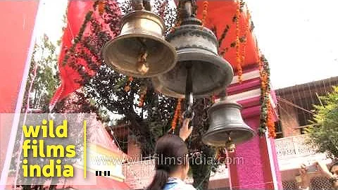 Hindu devotees ringing temple bells in Nainital
