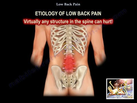 Low Back Pain Why It Hurts - Everything You Need To Know - Dr. Nabil  Ebraheim 