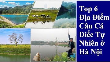 Top 6 Địa Điểm Câu Cá Diếc Tự Nhiên ở Hà Nội - Phần 1