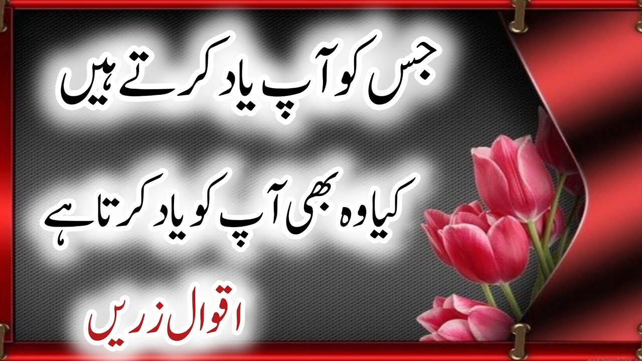 Top Hazrat Ali Quotes In Urdu Hazrat Ali Ke Aqwal E Zareen