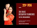 23° dia de Desafio FLoreios de Dança cigana Estilo