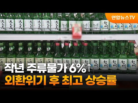 작년 주류물가 6%↑…외환위기 후 최고 상승률 / 연합뉴스TV (YonhapnewsTV)