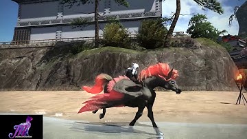 FFXIV: Black Pegasus Mount!