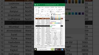 Format Painter in Excel | Format Painter in Excel Use | use of format painter in excel