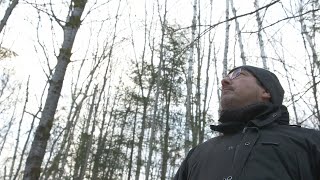 La semaine verte | Christian Messier : nos forêts