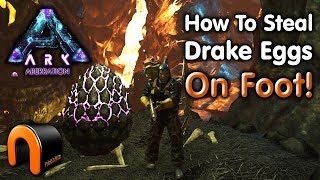ARK - HOW TO GET YOUR FIRST DRAKE EGG ON FOOT! Aberration