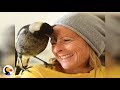 Magpie Bird Saves Family | The Dodo