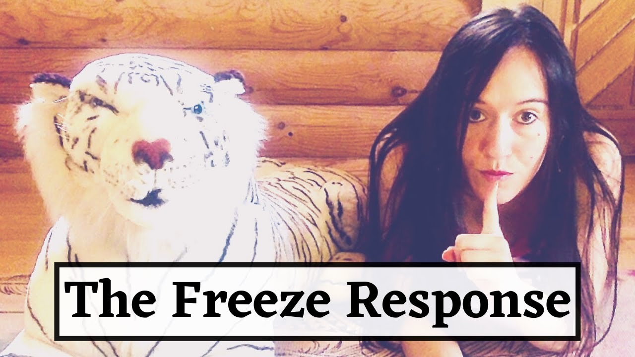 Depression & Stress (Part 1) "Freeze Response" - YouTube