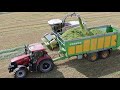 Sběr Žita- Claas Jaguar 950 a 860, Zetor Forterra 140, Case IH Puma 225cvx