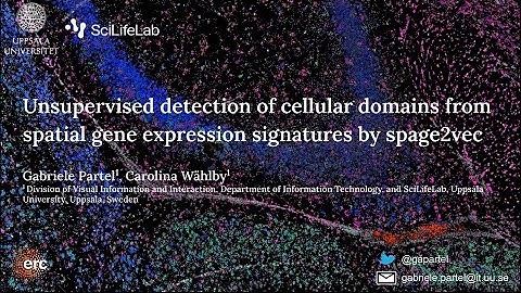 Spage2vec - Emerging Technologies in Single Cell Research