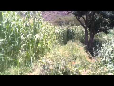 حسين محب ياالله رضاك وادي الصيرات