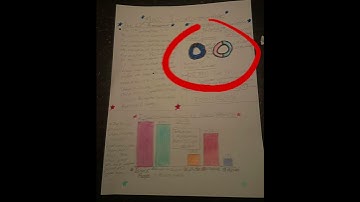 Mass Incarceration Rates