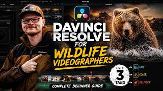 DaVinci Resolve for Wildlife Filmmakers (Complete Beginner Guide)