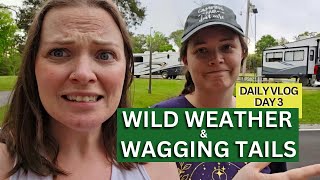 Wild Weather and Wagging Tails