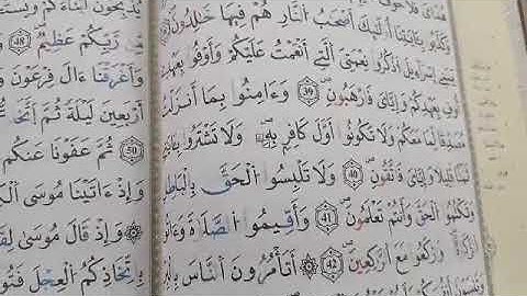 تصحيح التلاوة مع الشيخة نادية _ سورة البقرة _ تسميع الحفظ #learn coran€