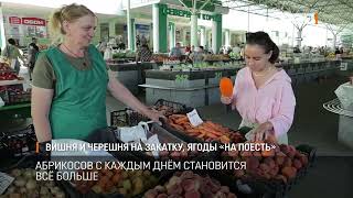 ВИШНЯ И ЧЕРЕШНЯ НА ЗАКАТКУ, ЯГОДЫ «НА ПОЕСТЬ»