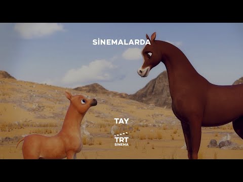 Tay | Sinemalarda