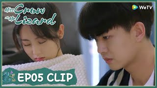 【Miss Crow with Mr. Lizard】EP05 Clip | Falling in love will put his life in danger?! | 乌鸦小姐与蜥蜴先生
