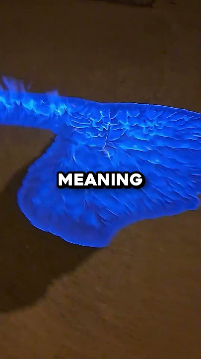 He Made Blue Fire 🤯 (@ms_aviation1931)