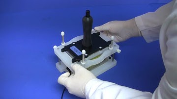 Mixing in 96 Well Microplates