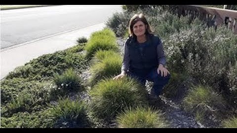 The Science of Nestboxes