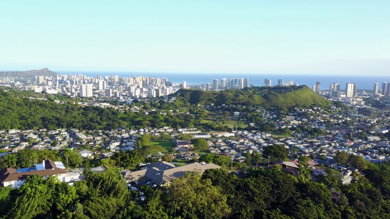 Drone flying Pig hunting area downtown