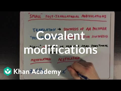 Video: Jak kovalentní modifikace ovlivňuje aktivitu enzymu?