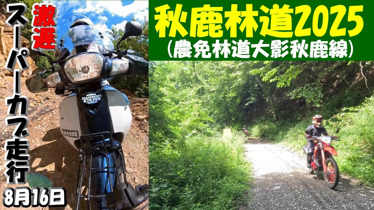津久井の風景画（晩秋 農道） 津久井の風景画（晩秋 農道）