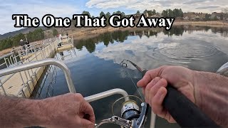Monument Lake, Monument Colorado Fishing - March 2025