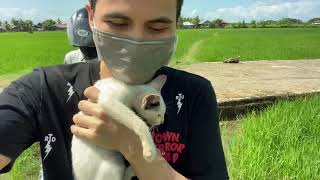 KUCING DI BUANG KITA SELAMATKAN BAWA PULANG KE RUMAH