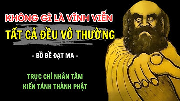 BỒ ĐỀ ĐẠT MA: BÍ MẬT ẩn chứa trong 100 lời dạy của Ngài I Giúp tâm an tĩnh, tâm hồn bình yên