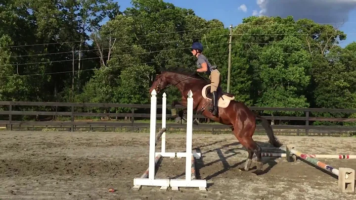 Erica Addison on Bravo training with Jim Graham