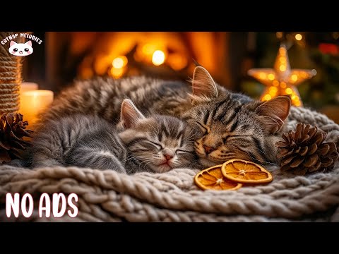 Cozy Music for Anti Separation Cat 🎵🐈 Relaxing Sound for Relaxation, Healing & Insomnia, Deep Sleep
